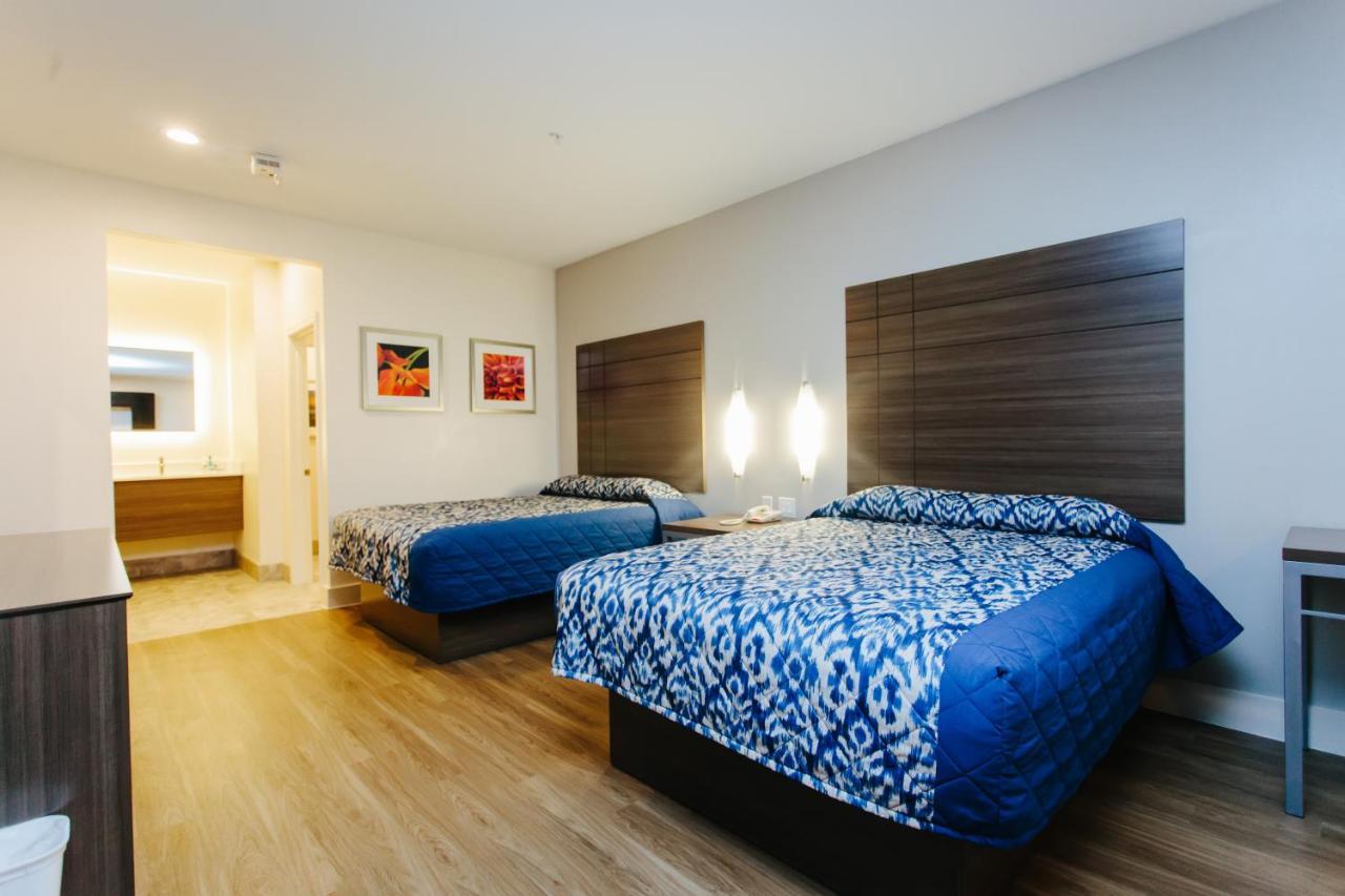 Superior Kamer met 2 Queensize Bedden
