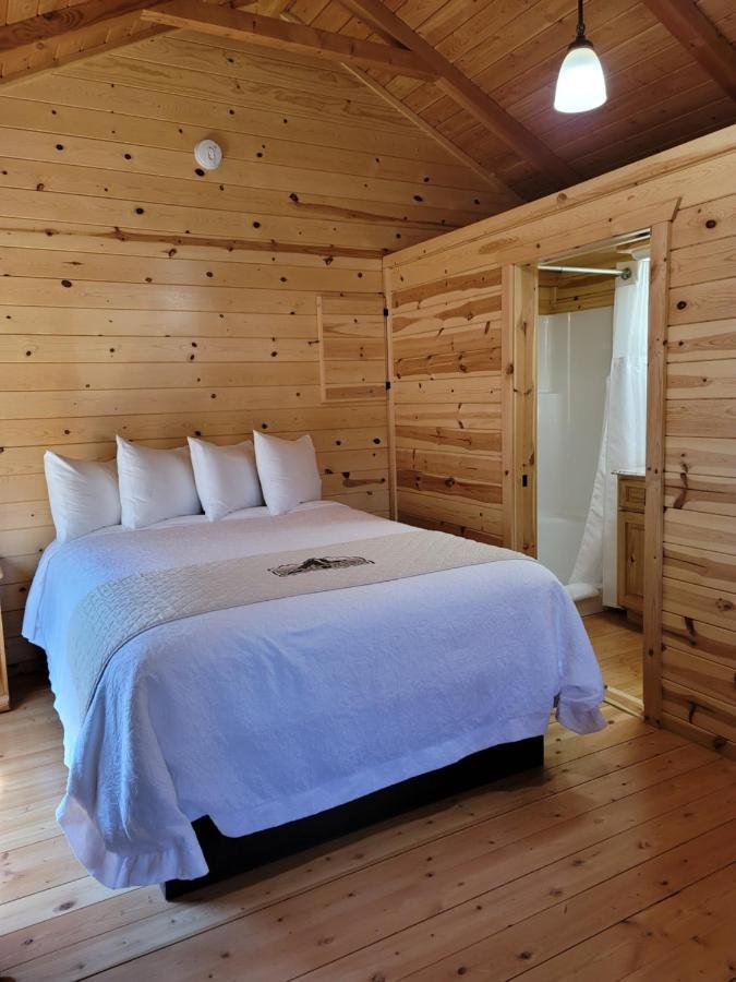 Deluxe King Suite,1132951815:JPEG