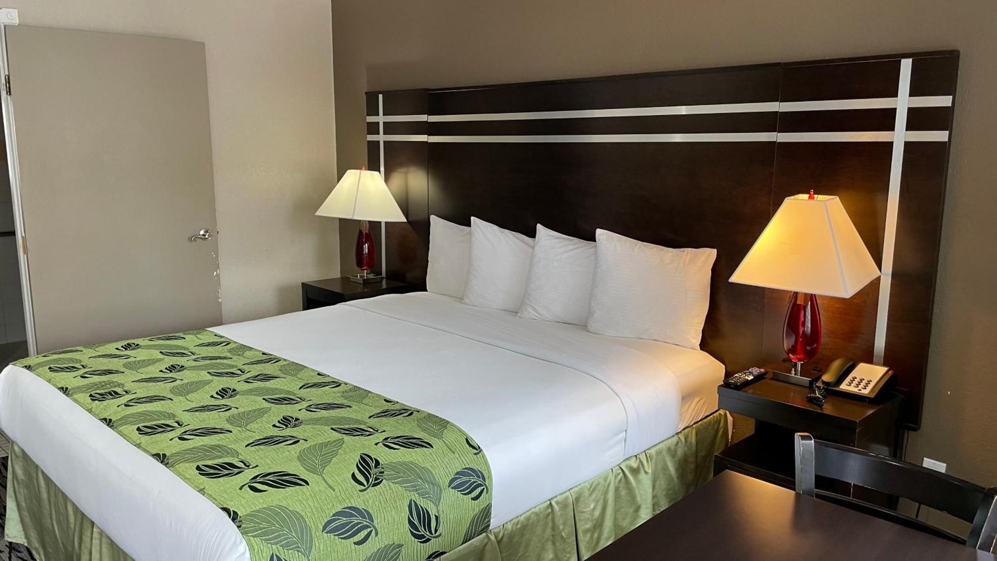 King Room - Disability Access,1210350196:JPEG