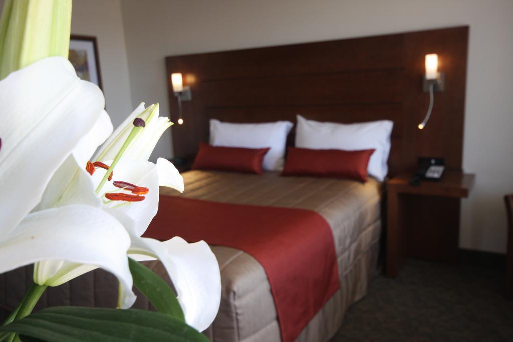 Superior Queen Room,122139151:JPEG