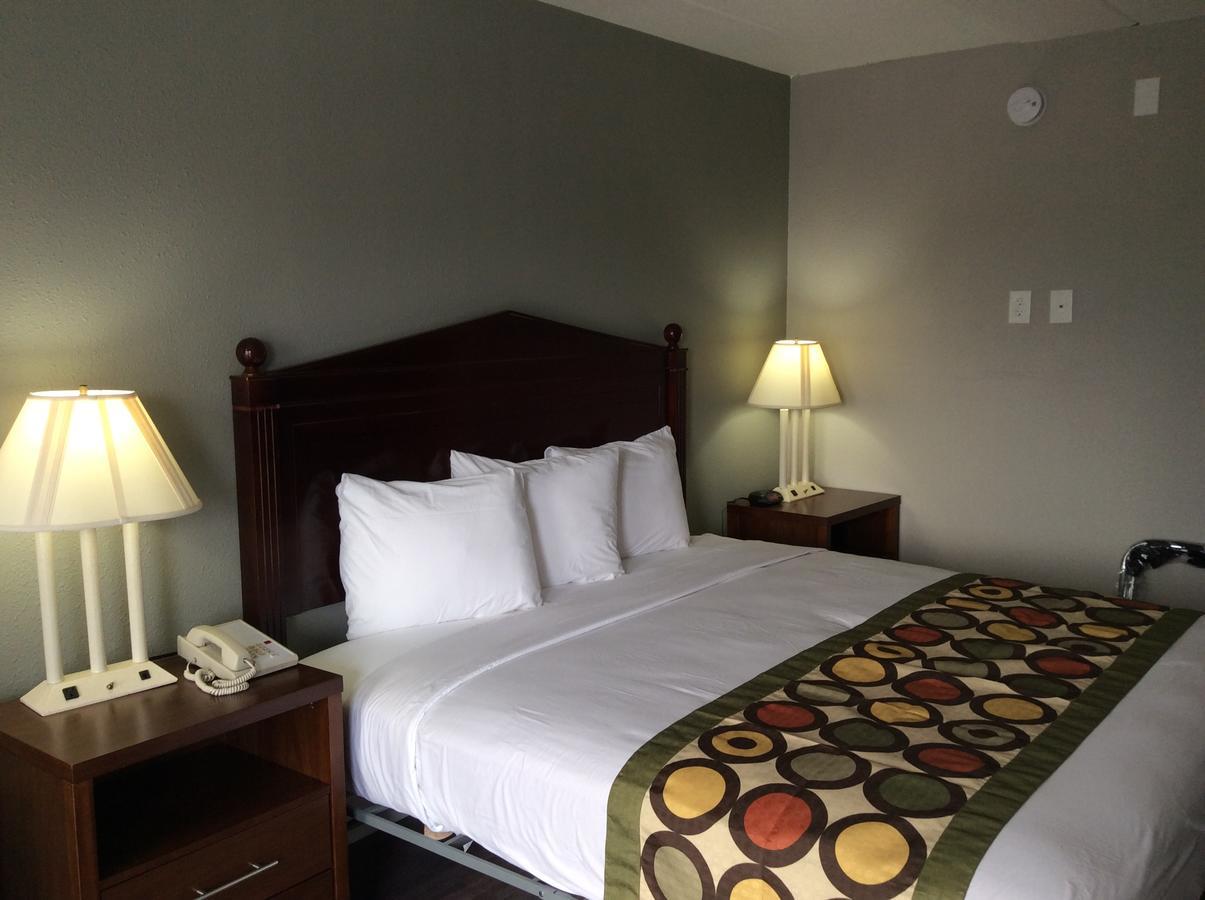 Standard King Room
