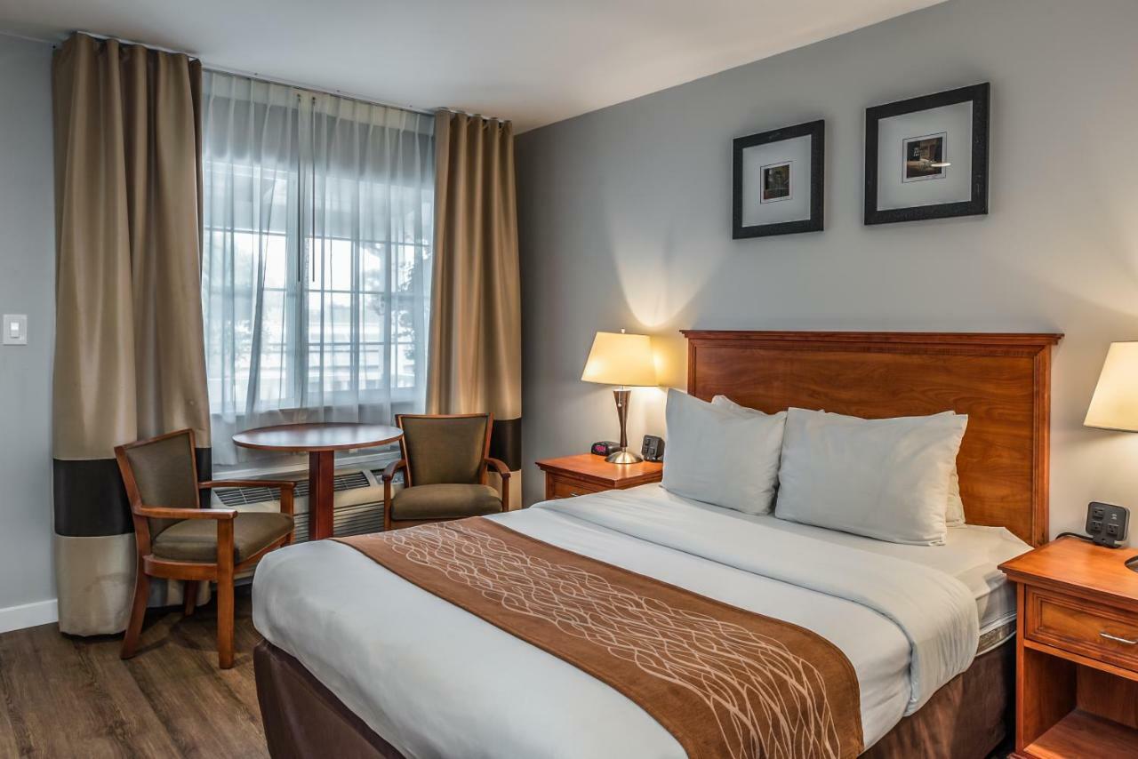 Standaardkamer met 1 Queensize - Rookvrij