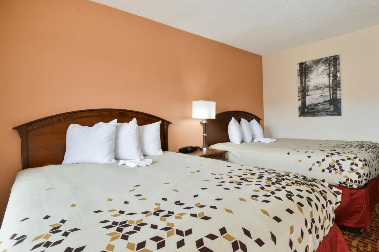 Superior Queen Room with Two Queen Beds,983190634:JPEG