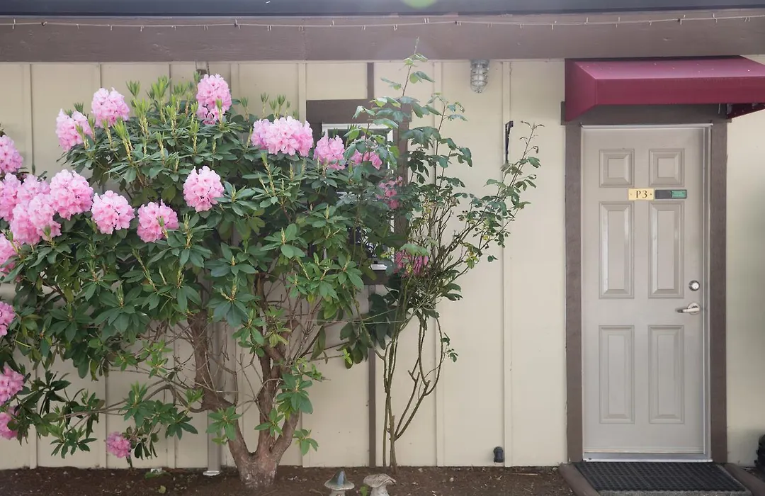 Cherry Tree Inn-1