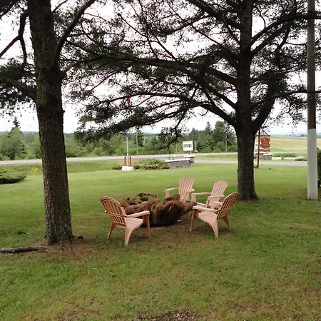 Pinecone Motel-2
