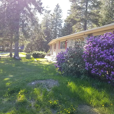 Pinecone Motel-3