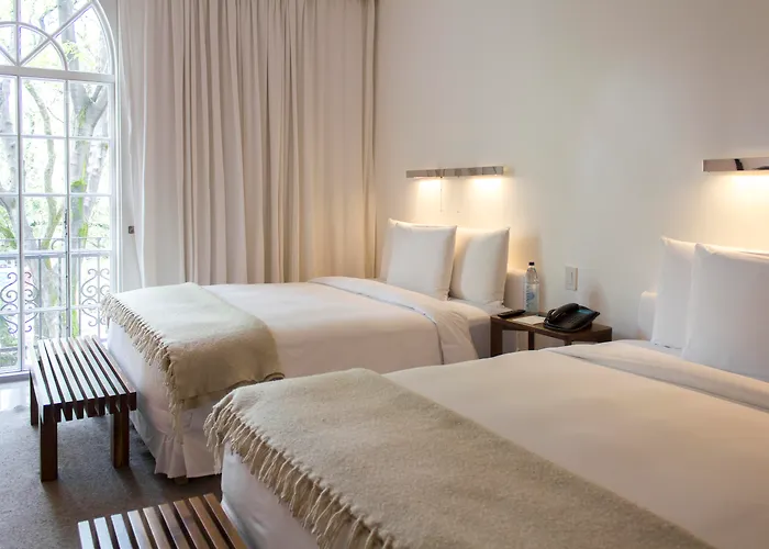 Haustierfreundliches Hotel: Condesa Df, Mexico City, A Member Of Design Hotels