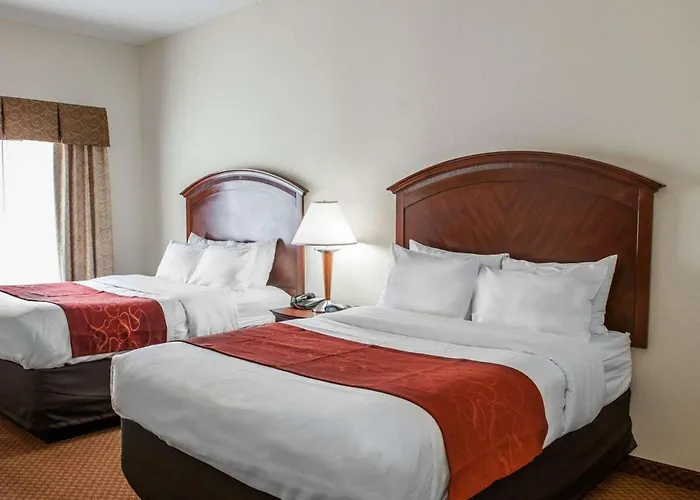Comfort Suites Near Airport