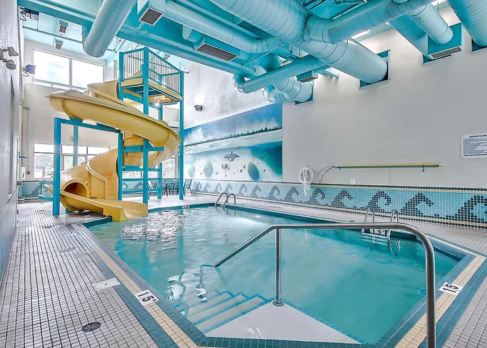 Hotel: Comfort Inn & Suites South