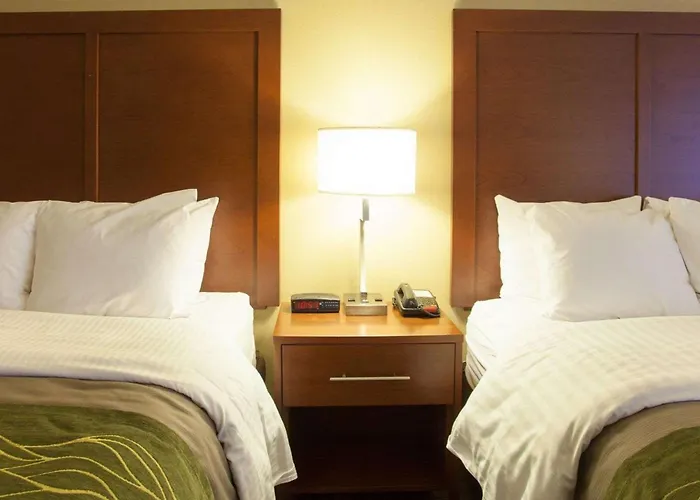 Family resorts Quality Inn & Suites I-40 East