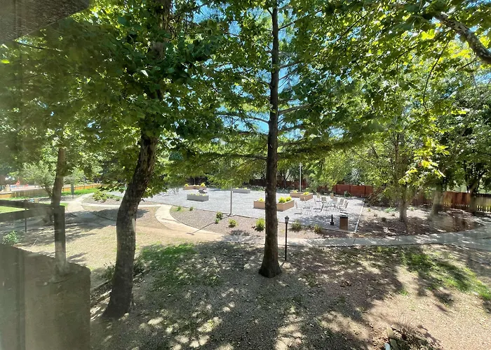 Surestay Plus By Best Western Lawton