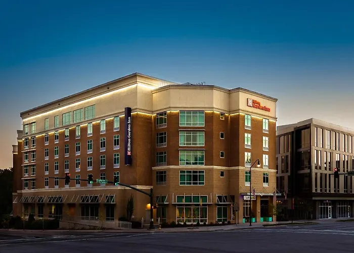 Hotel with view: Hilton Garden Inn Asheville Downtown