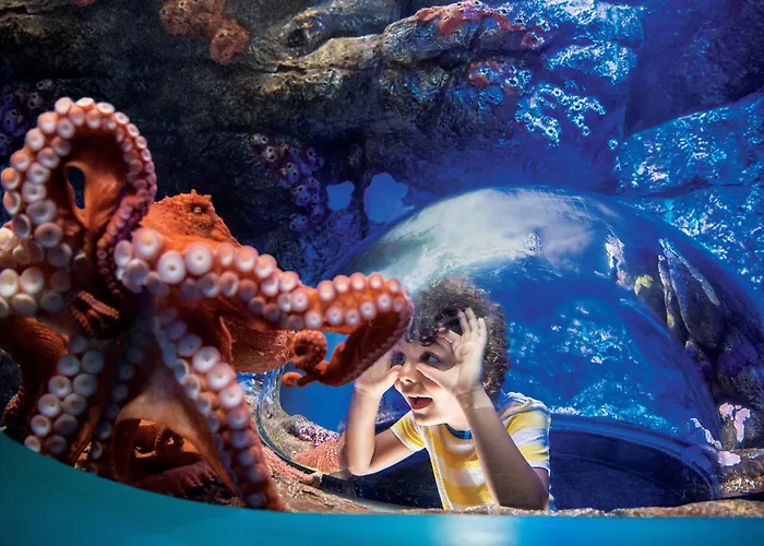 Hotel: Greentree Inn San Diego Mission Bay