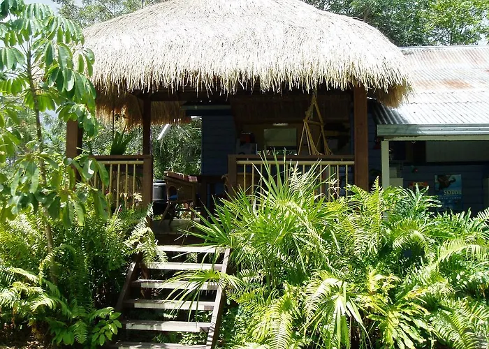 Pets Allowed Hotel Mango Tourist