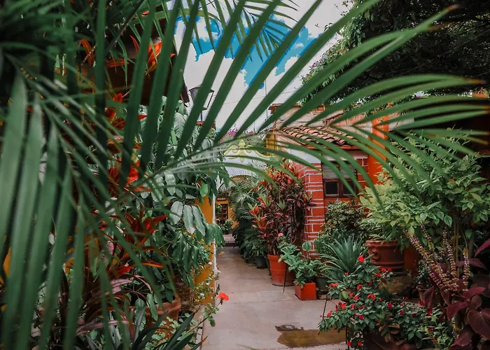 Hotel Las Golondrinas
