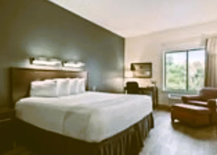 Hotel with view: Suburban Studios Orlando - Ocoee-Winter Garden