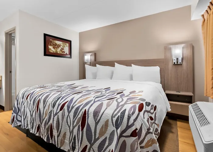 Pet Friendly hotel: Red Roof Inn Harrisburg North