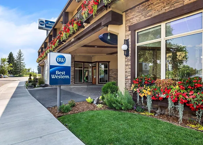 Best Western Driftwood Inn