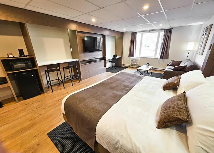 Hôtel accueillant les animaux: Hotel Le Voyageur