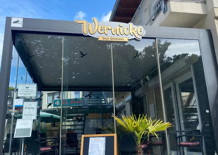 Wernicke-Das-Original