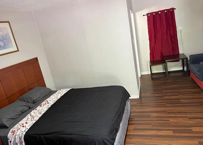 Hôtel accueillant les animaux: Advance Inn