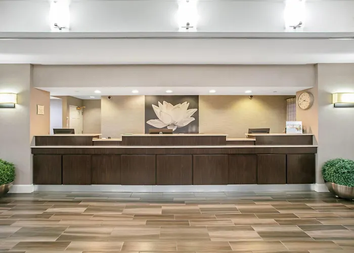 La Quinta By Wyndham Dfw Airport South / Irving