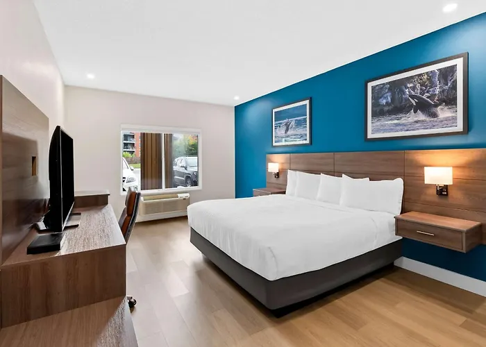Dog friendly hotels Feng, BW Signature Collection