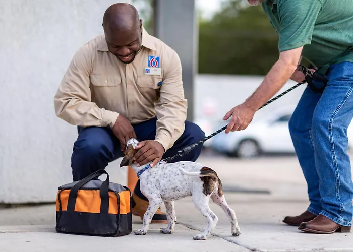 Motel 6 Atlanta Ga Atlanta Airport East
