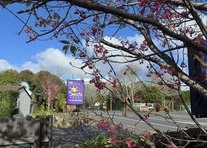 Hotel céntrico: Siesta Motel