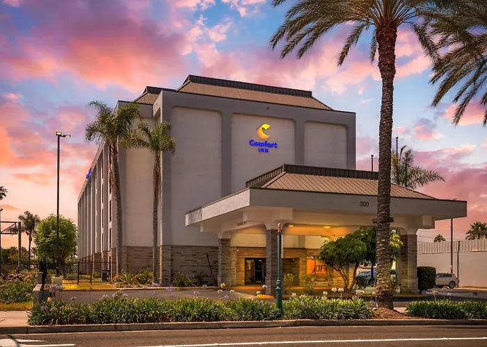 Hotel con golf: Comfort Inn Anaheim Resort