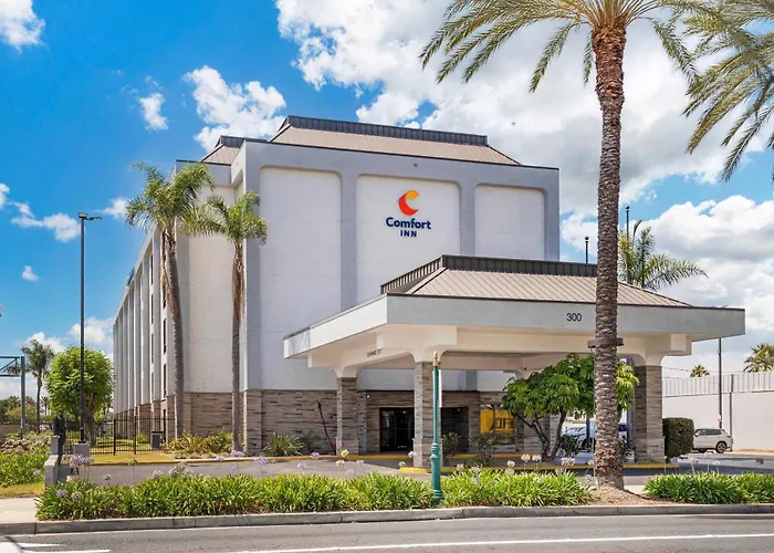 Hotel con golf: Comfort Inn Anaheim Resort