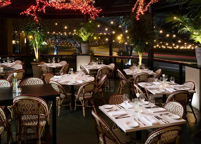 Hôtel accueillant les animaux: Hotel Zaza Houston Museum District