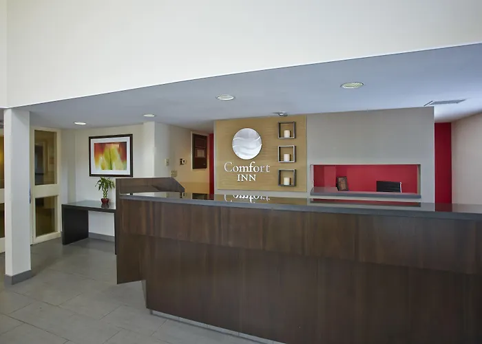 Comfort Airport