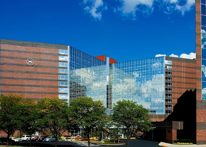 Pet Friendly hotel: Sheraton Indianapolis Hotel At Keystone Crossing