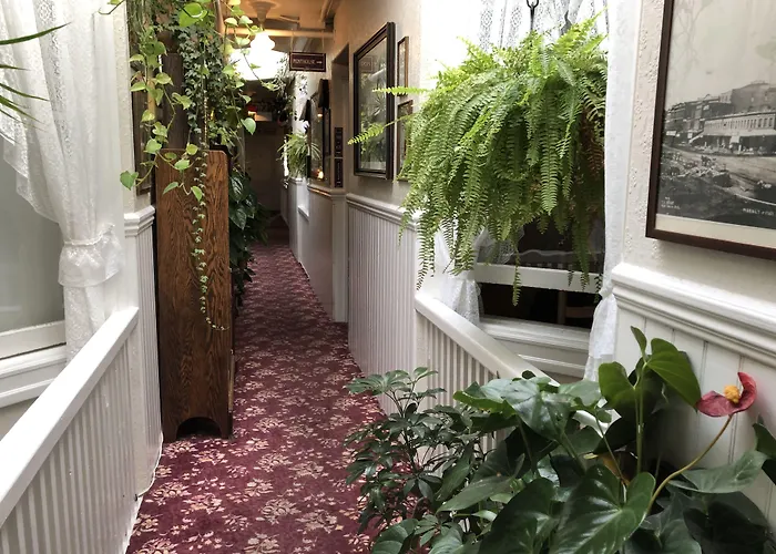 Huisdiervriendelijk hotel: San Remo Hotel