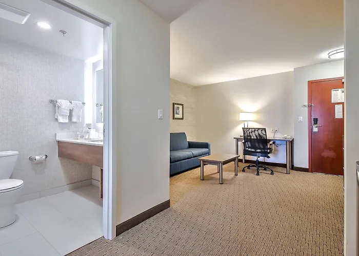 Hotel: Comfort Inn & Suites South