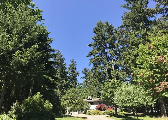 Maple View Bed And Breakfast
