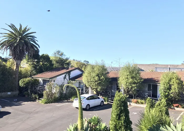 Hotel céntrico: Siesta Motel