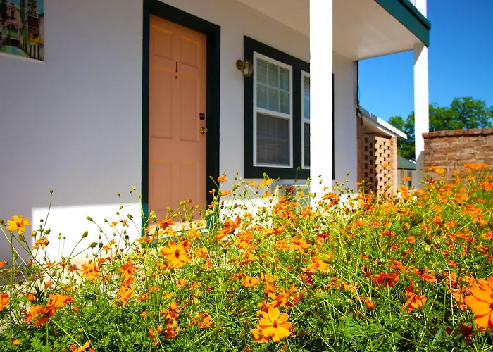 Hotels with pool Peach Tree Inn & Suites
