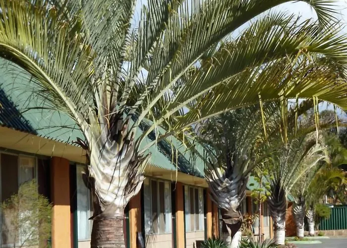 Cheap hotel: The Miners Rest Motel