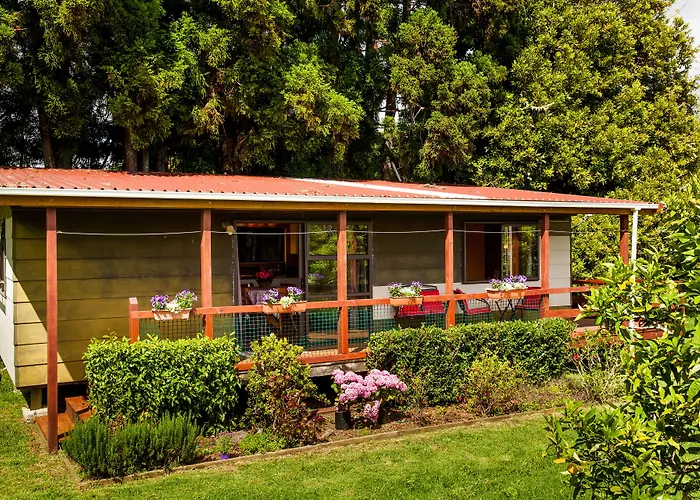 Pet Friendly hotel: Relax A Lodge