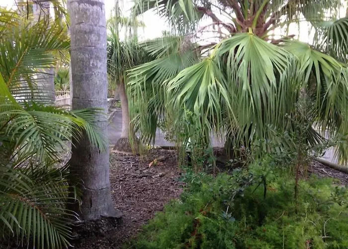 Forster Palms Motel