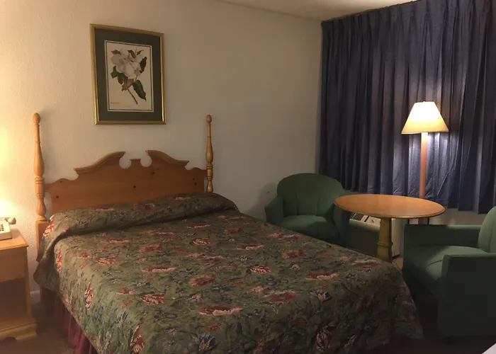 Hôtel accueillant les animaux: Mystic Sea