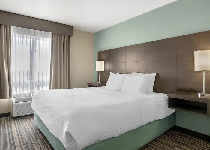 Best Western Plus Dartmouth Hotel&Suites