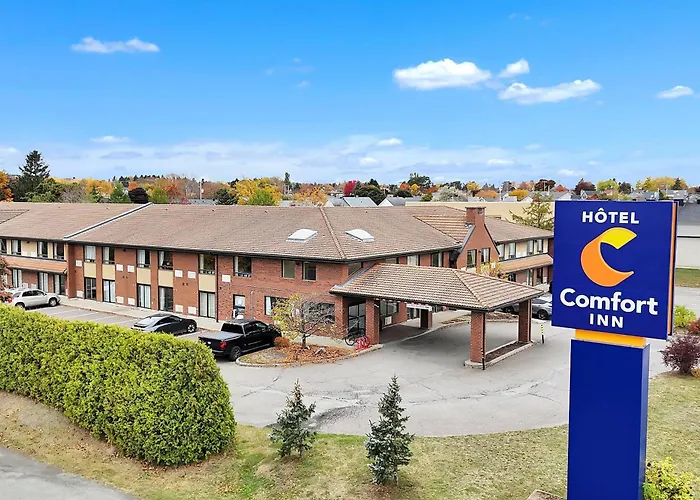 Hôtel accueillant les animaux: Comfort Inn