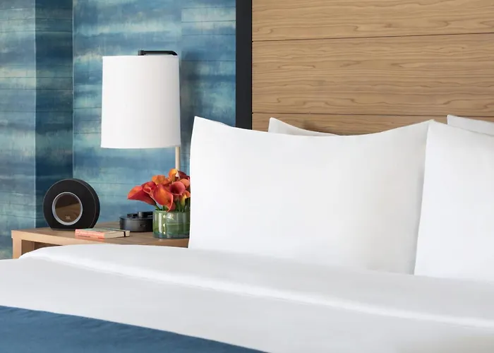 Hotel con piscina: Hotel Caza