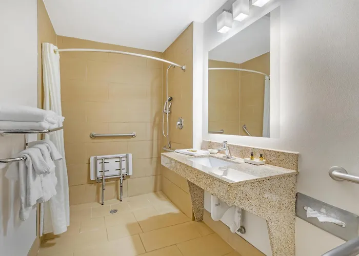 Best Western Plus Mcdonough Inn & Suites