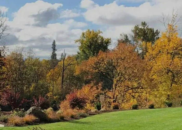 Beach Hotels Lodge At Roseburg