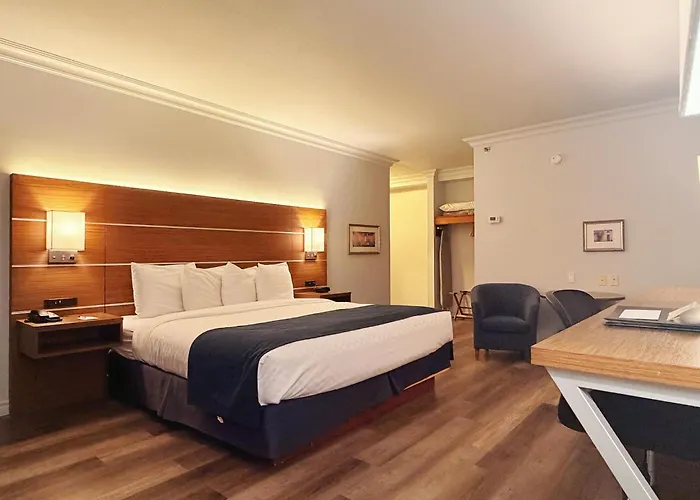 Hotel Jacuzzi Privatif L'Oiseliere