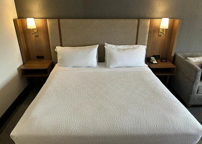 Pets Allowed Hotel Holiday Inn Niagara Falls State Park Entry By Ihg